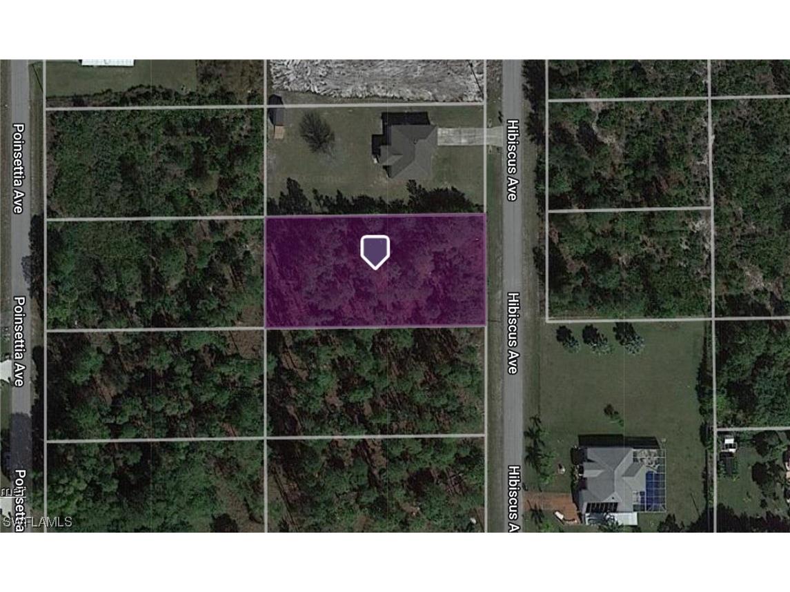 1007 Hibiscus Avenue Lehigh Acres FL 33972 223031975 image1