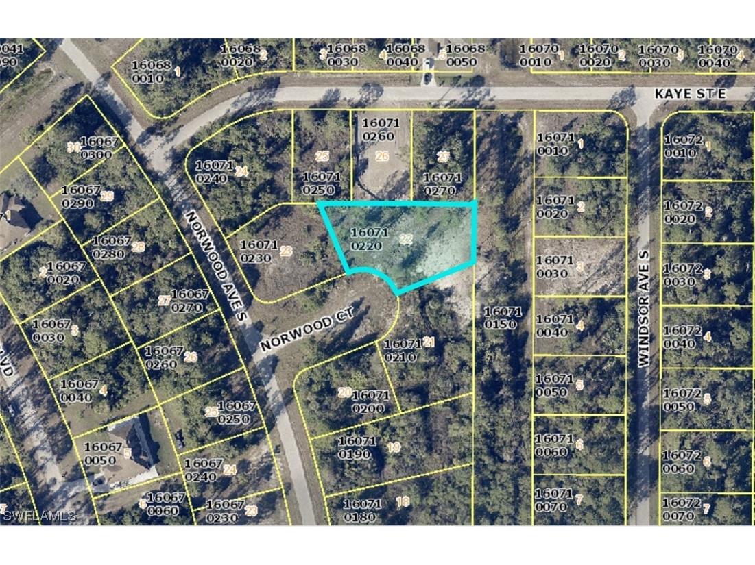 1007 Norwood Court Lehigh Acres FL 33974 224015670 image1