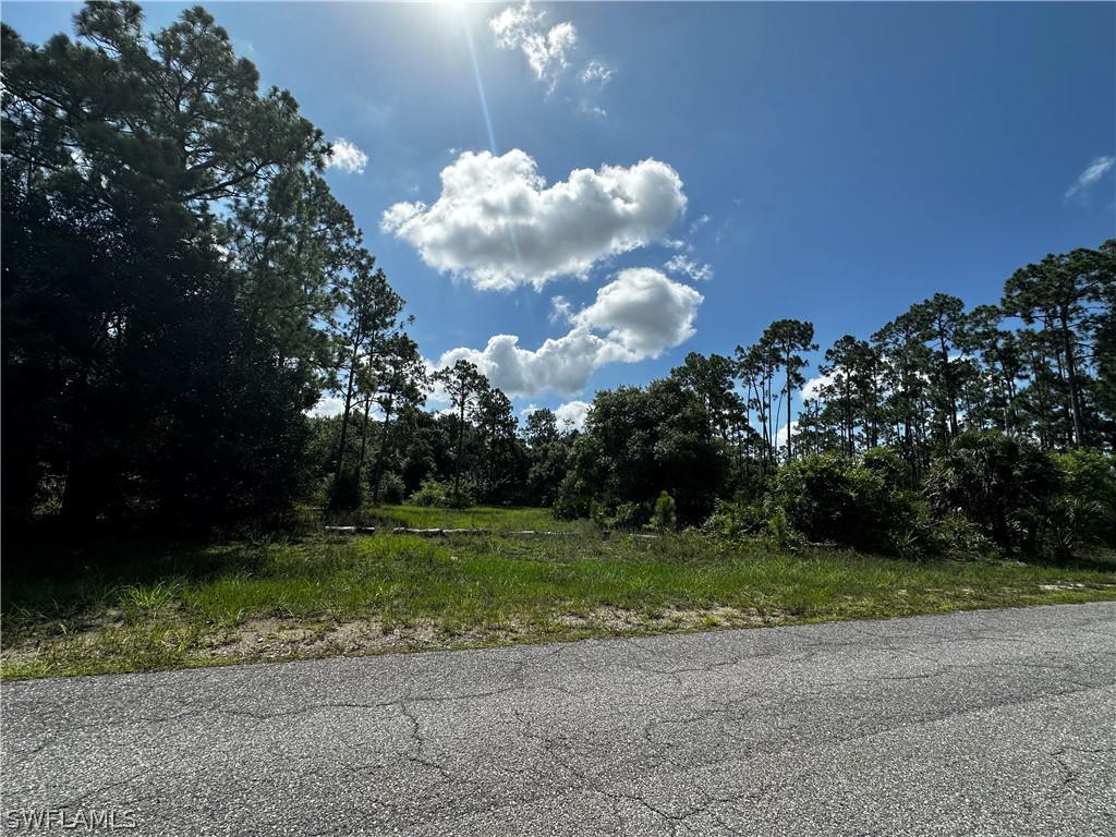 1008 Louis Avenue Lehigh Acres FL 33972 224056221 image2