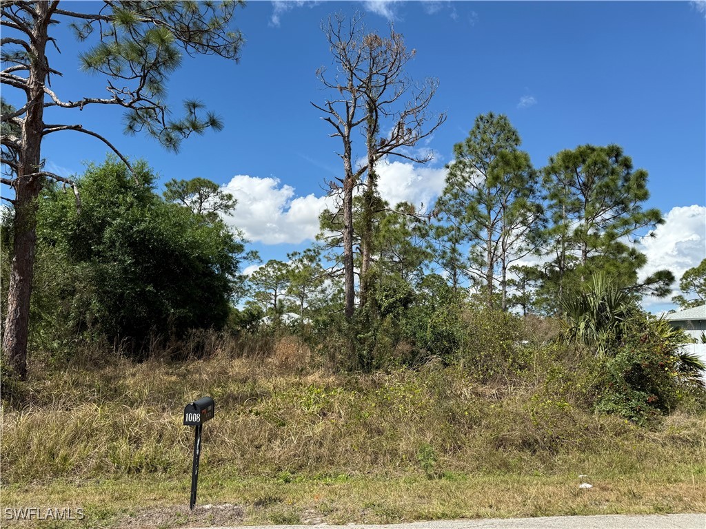 1009 Acacia Avenue Lehigh Acres FL 33972 225023822 image10