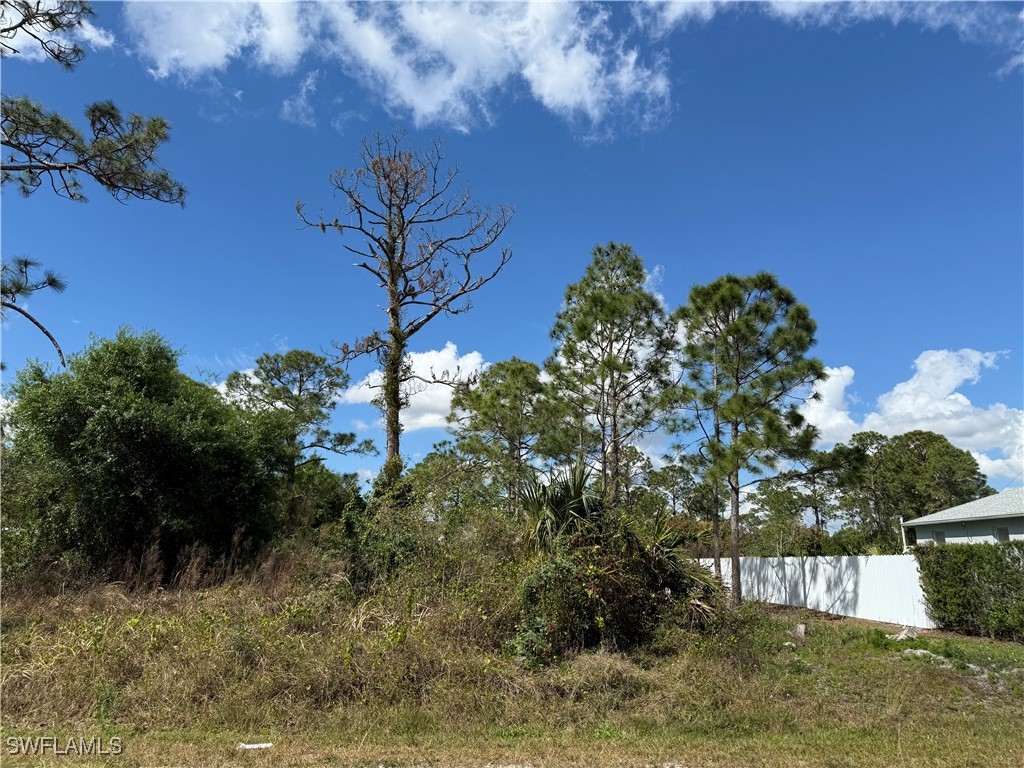 1009 Acacia Avenue Lehigh Acres FL 33972 225023822 image2