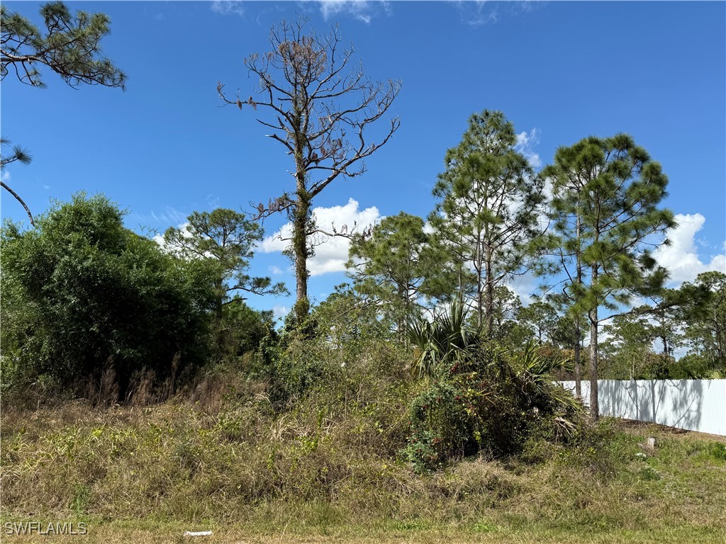 1009 Acacia Avenue Lehigh Acres FL 33972 225023822 image4