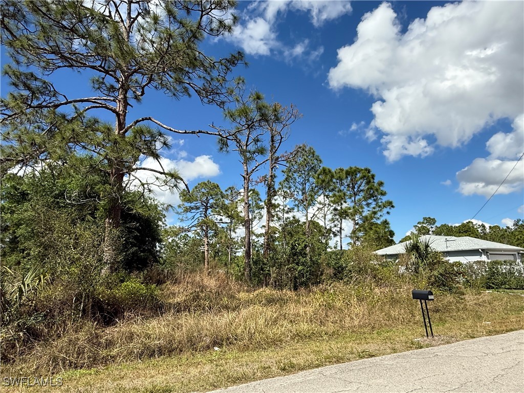 1009 Acacia Avenue Lehigh Acres FL 33972 225023822 image5