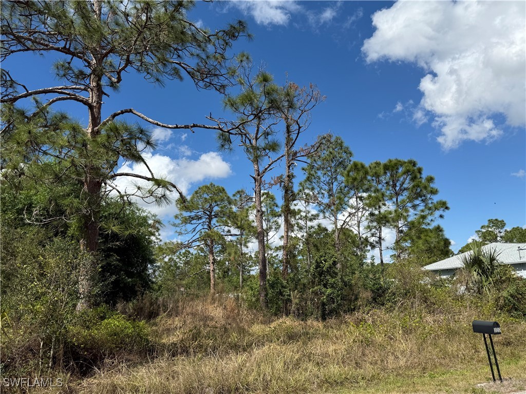 1009 Acacia Avenue Lehigh Acres FL 33972 225023822 image8