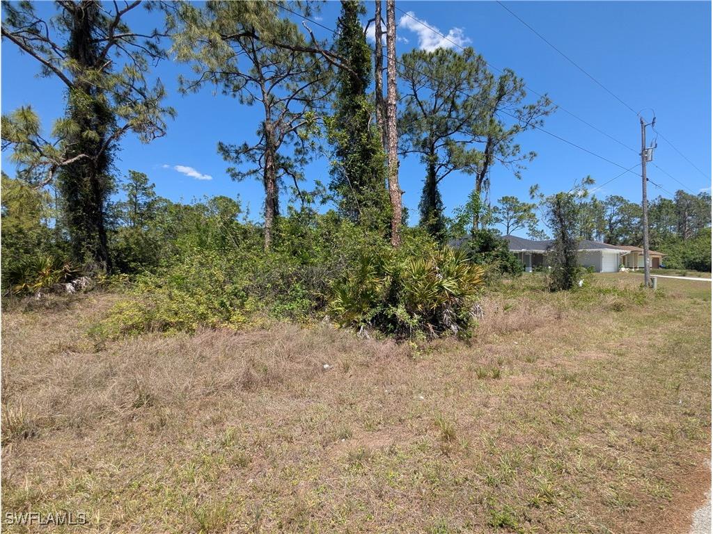 1009 Butler Street E Lehigh Acres FL 33974 225037247 image4