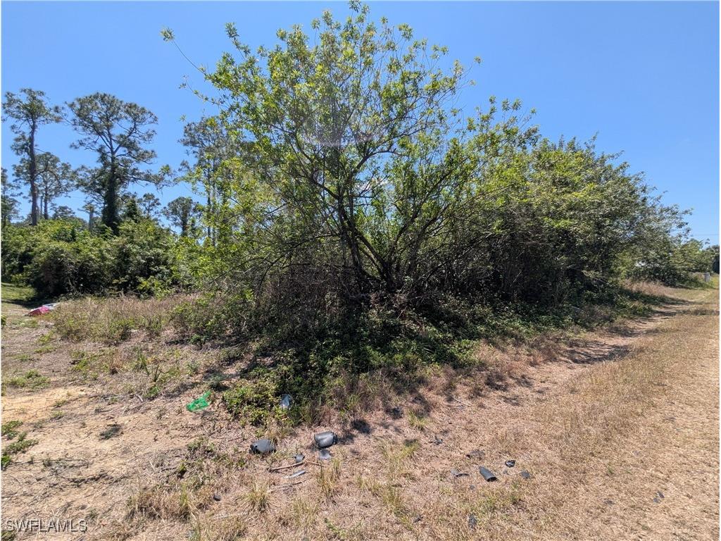 1009 Butler Street E Lehigh Acres FL 33974 225037247 image6