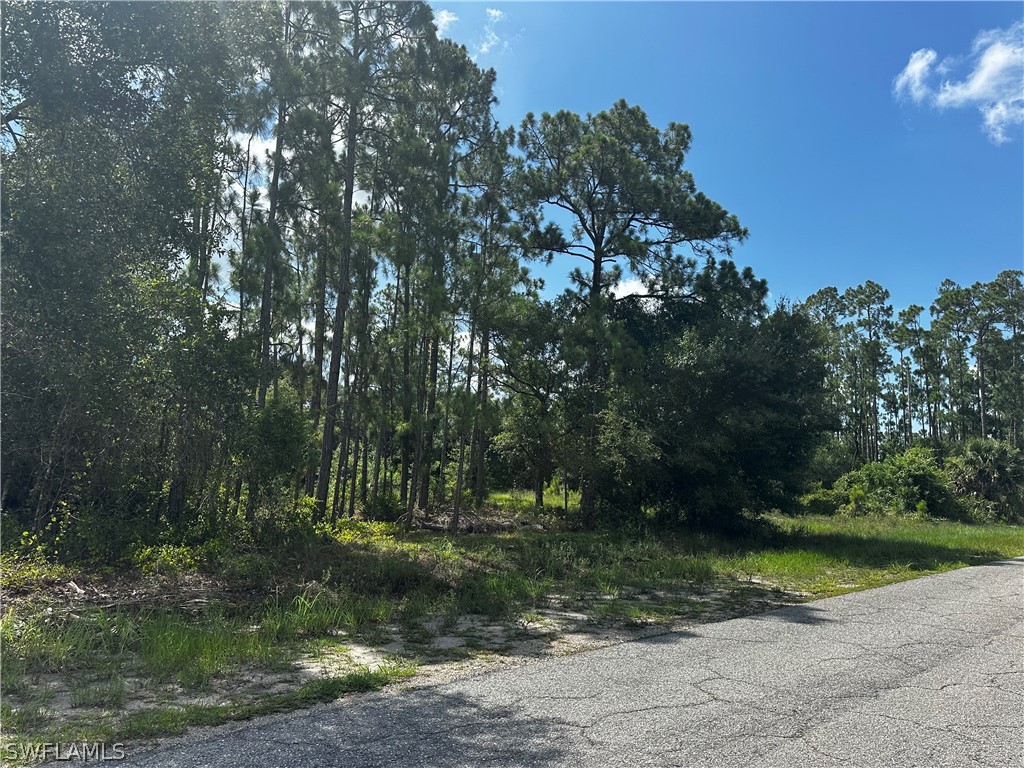 1010 Louis Avenue Lehigh Acres FL 33972 224056223 image3