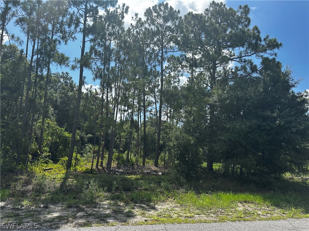 1010 Louis Avenue Lehigh Acres FL 33972 224056223 image4