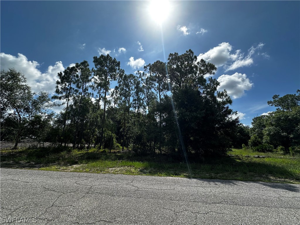 1010 Louis Avenue Lehigh Acres FL 33972 224056223 image5