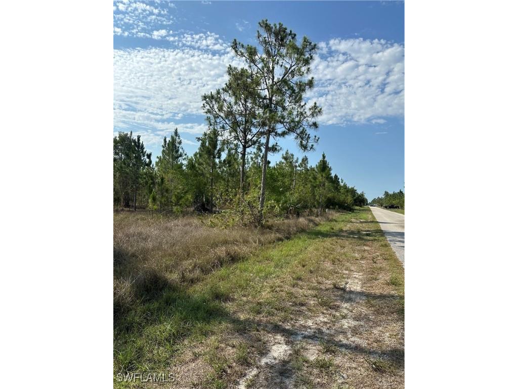 1014 Jackson Avenue Lehigh Acres FL 33972 225045495 image1