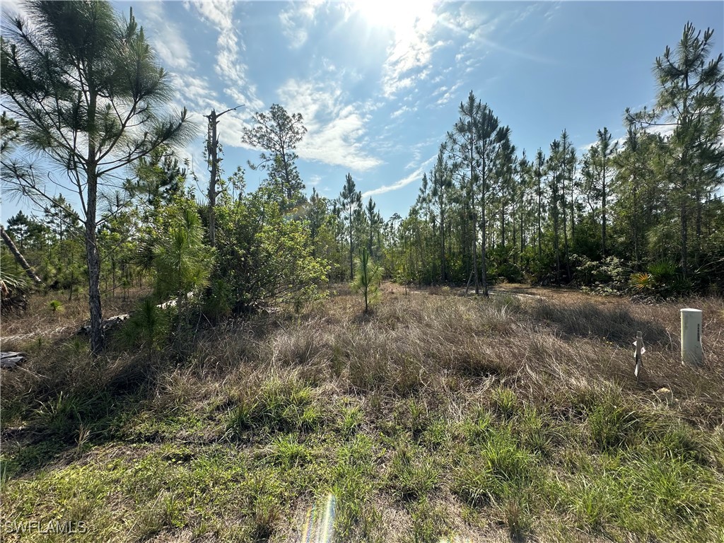 1014 Jackson Avenue Lehigh Acres FL 33972 225045495 image2