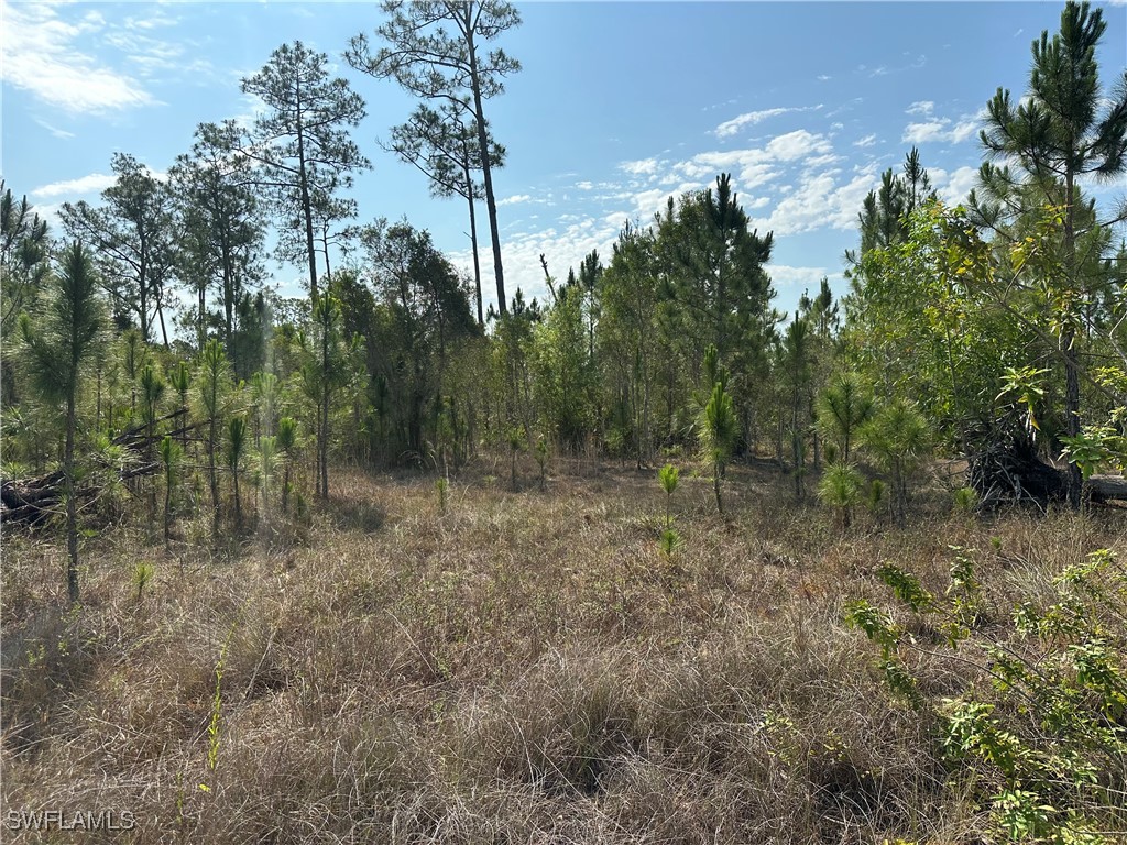 1014 Jackson Avenue Lehigh Acres FL 33972 225045495 image3