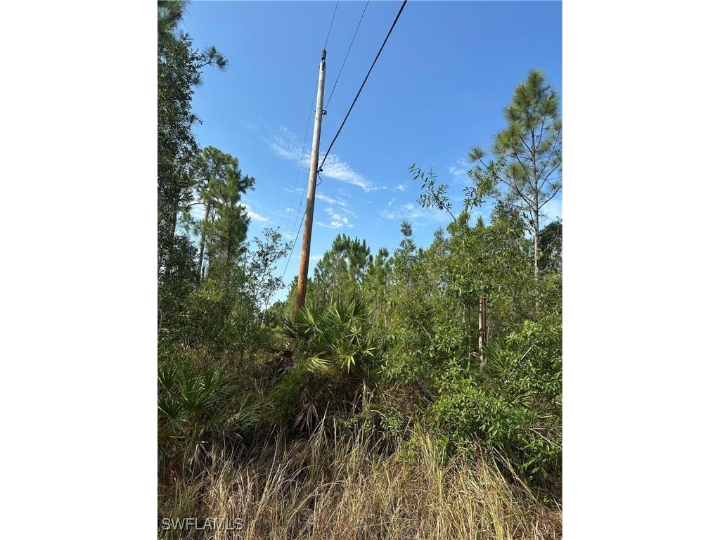 1014 Jackson Avenue Lehigh Acres FL 33972 225045495 image4