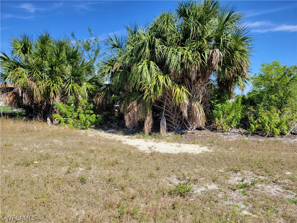 1015 NW 33rd Avenue Cape Coral FL 33993 224027597 image5