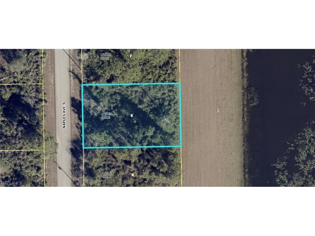 1015 Naples Avenue S Lehigh Acres FL 33974 225035297 image2