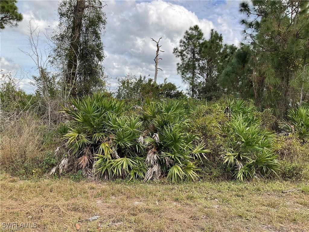 1015 Naples Avenue S Lehigh Acres FL 33974 225035297 image4