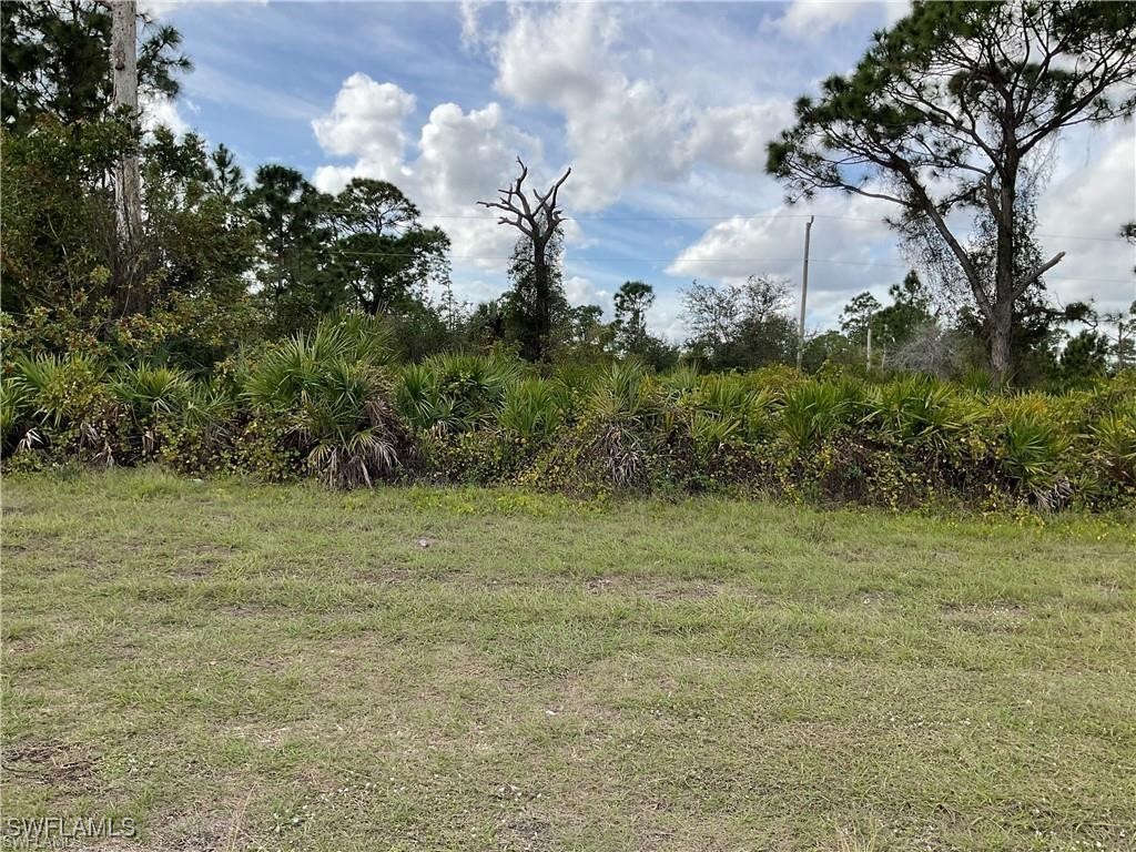 1015 Naples Avenue S Lehigh Acres FL 33974 225035297 image7