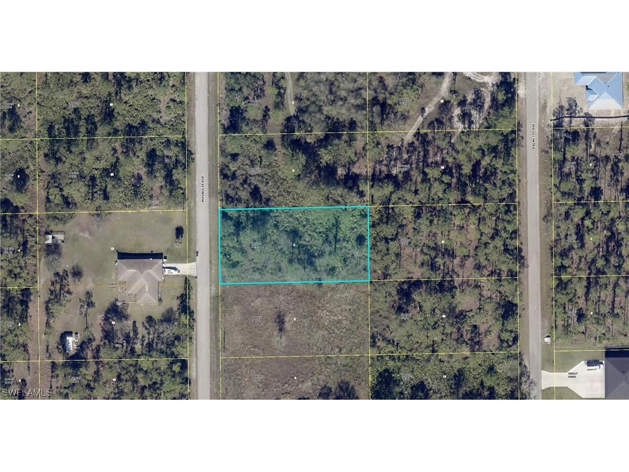 1016 Magnolia Avenue Lehigh Acres FL 33972 223053905 image1