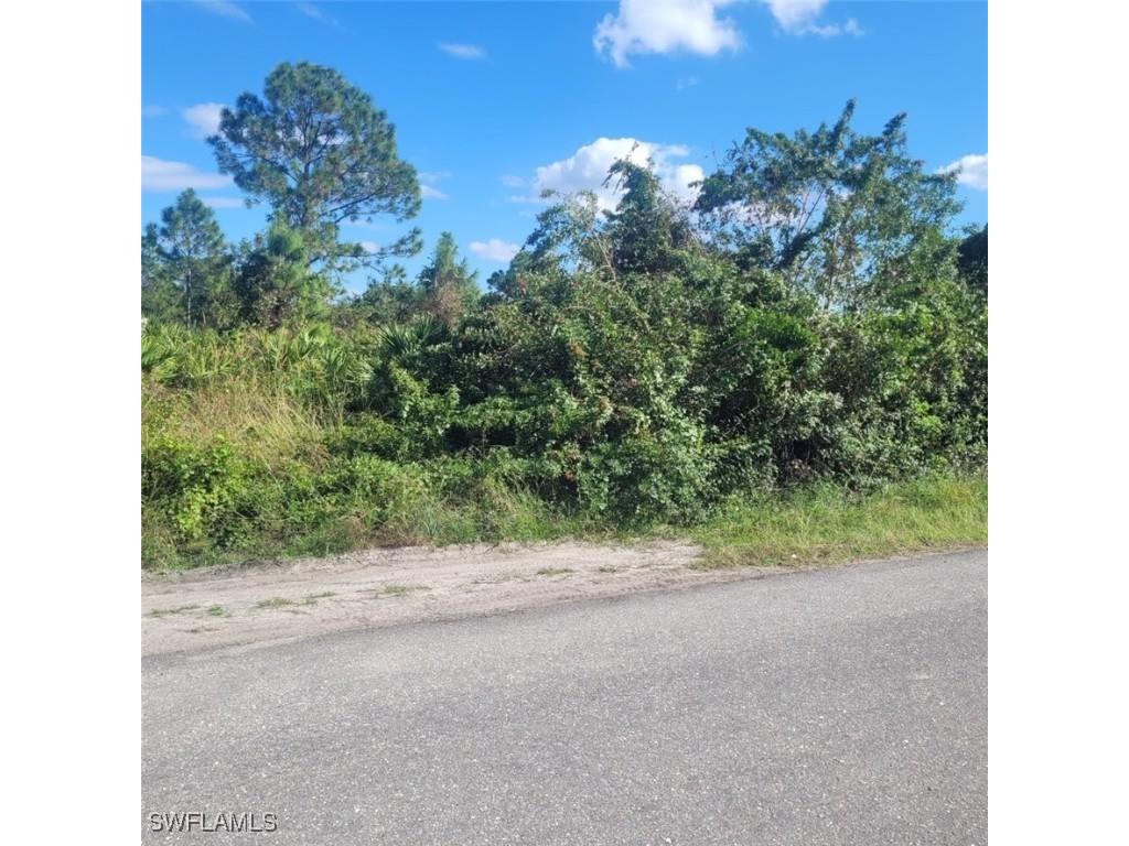 1020 Greenwood Avenue Lehigh Acres FL 33972 224091213 image1