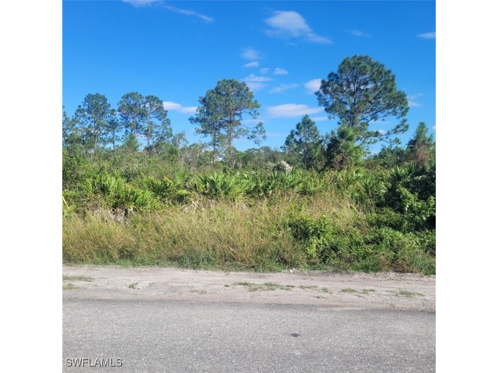 1020 Greenwood Avenue Lehigh Acres FL 33972 224091213 image2