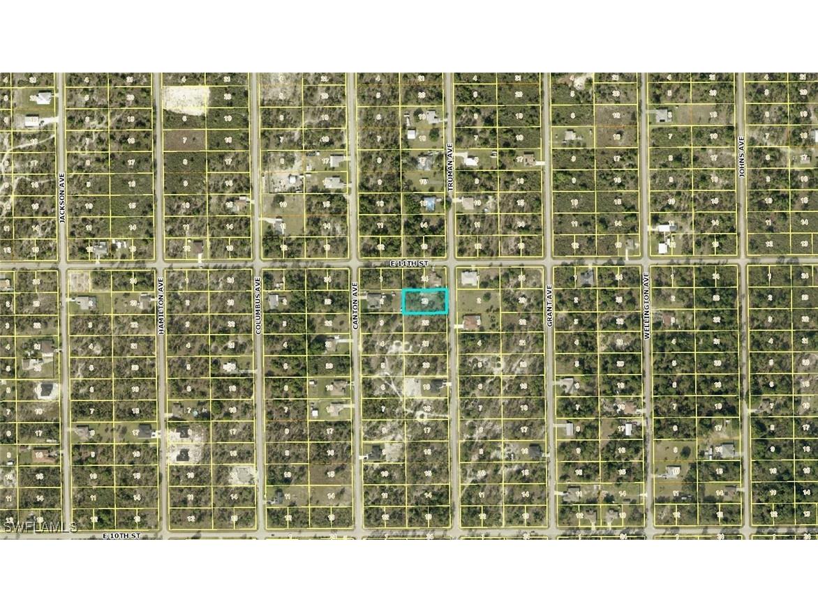 1021 Truman Avenue Lehigh Acres FL 33972 225016674 image2