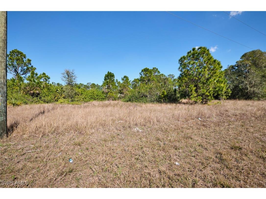 1025 Winters Street E Lehigh Acres FL 33974 225010065 image6