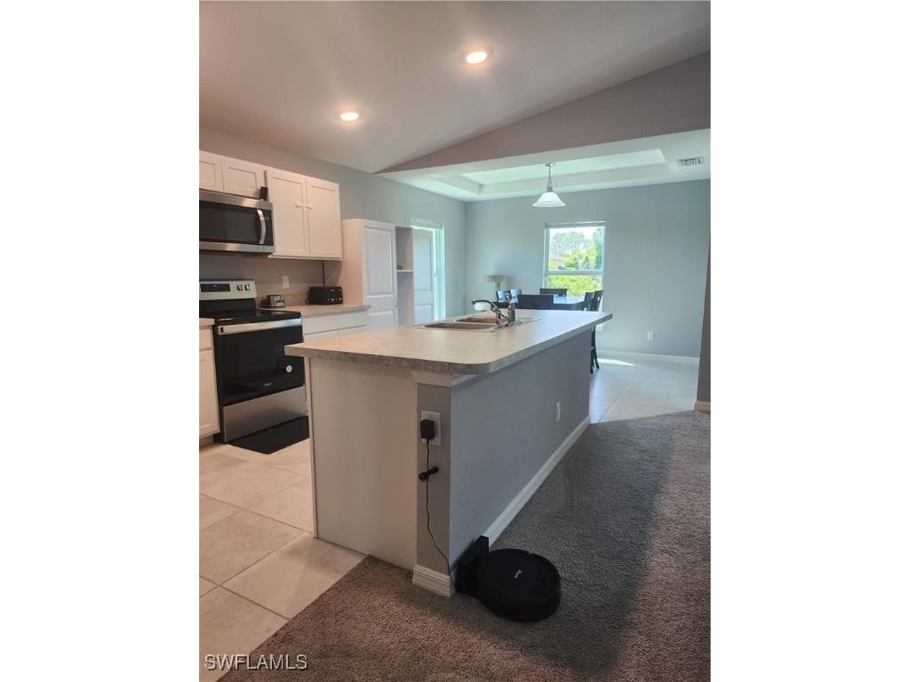 1028 NE 36th Lane Cape Coral FL 33909 225028211 image11