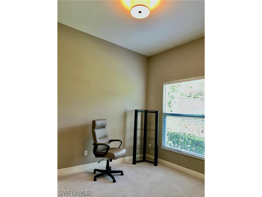 10283 Avonleigh Drive Bonita Springs FL 34135 224028534 image44