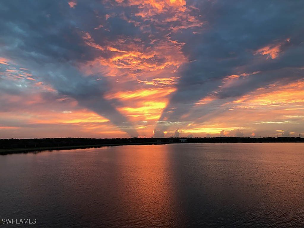 10295 Heritage Bay Boulevard #911 Naples FL 34120 225036454 image19