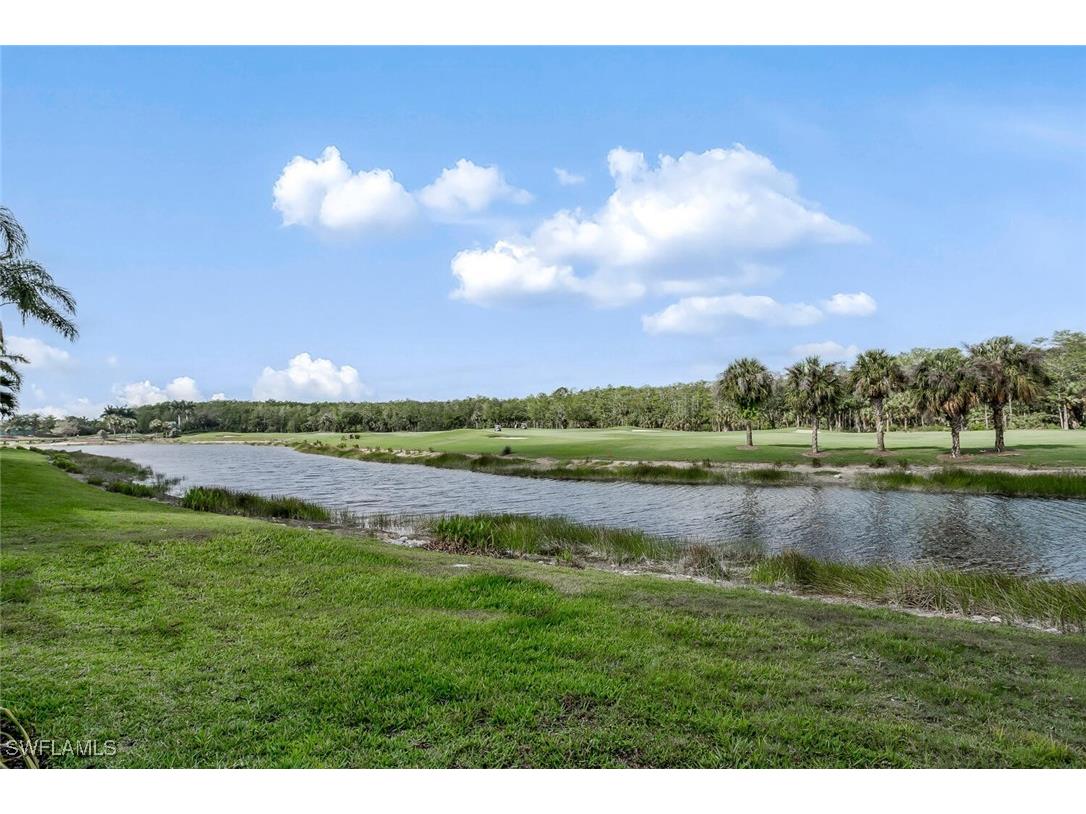 10295 Heritage Bay Boulevard #911 Naples FL 34120 225036454 image20