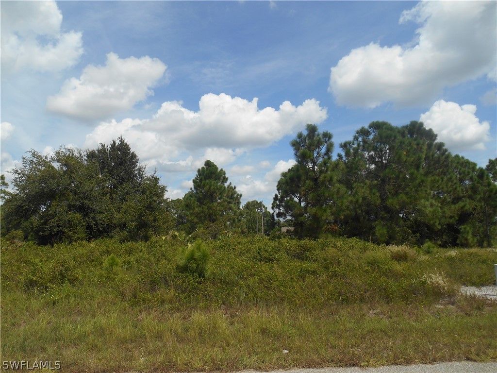 1031 Plymouth Street E Lehigh Acres FL 33974 222064923 image1