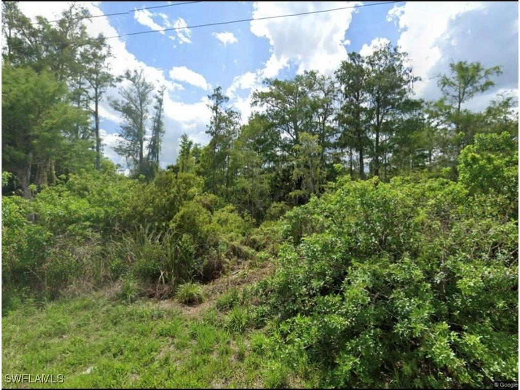 1032 Anaconda Avenue S Lehigh Acres FL 33974 225034452 image1