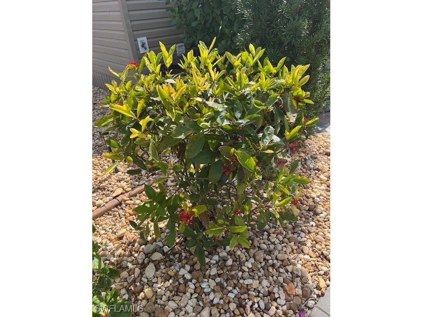 10336 Fire Flag Trail Fort Myers FL 33905 225035552 image12