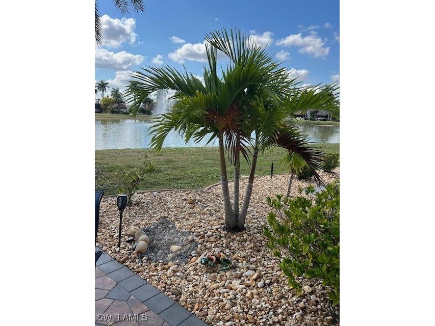 10336 Fire Flag Trail Fort Myers FL 33905 225035552 image21