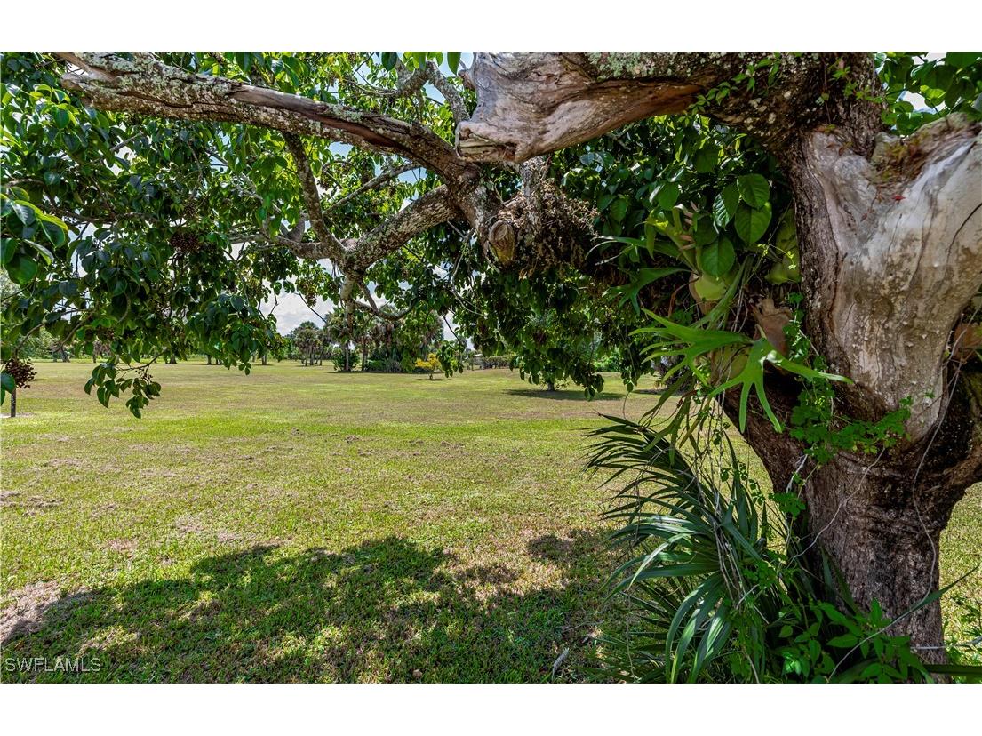 1038 Seminole Circle Moore Haven FL 33471 225006954 image6