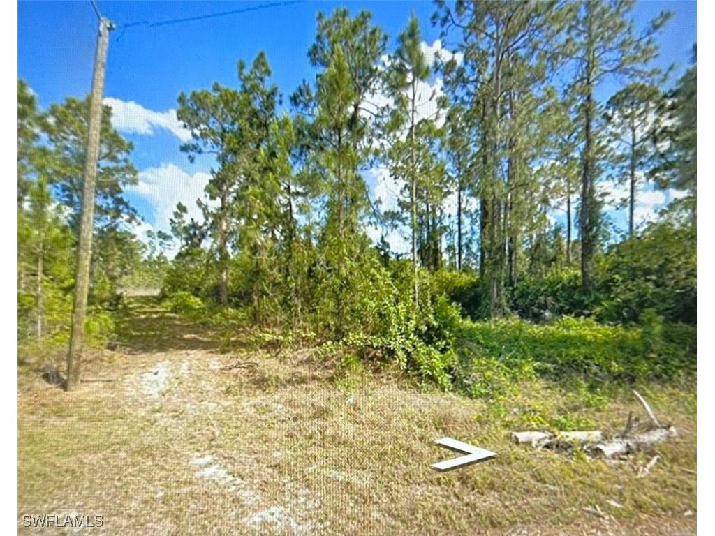 1046 Plymouth Street E Lehigh Acres FL 33974 225014015 image4