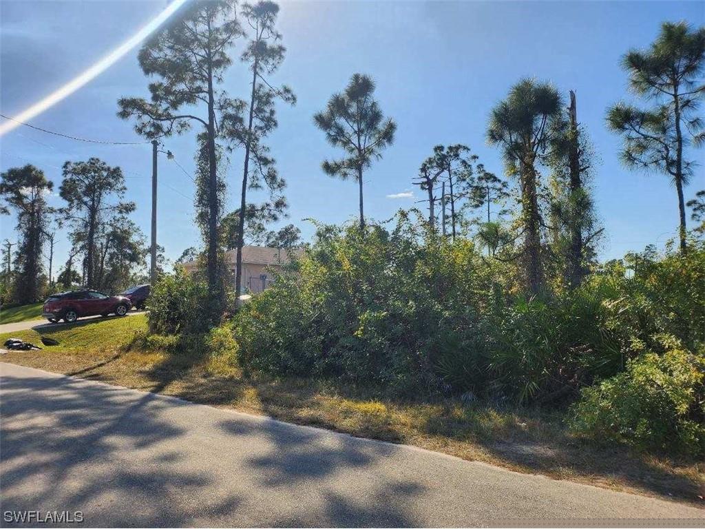 1059 Fayette Avenue Lehigh Acres FL 33974 224012600 image2