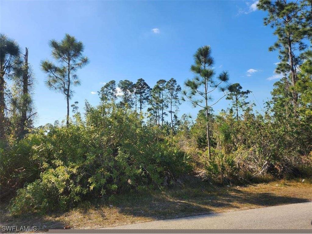 1059 Fayette Avenue Lehigh Acres FL 33974 224012600 image3