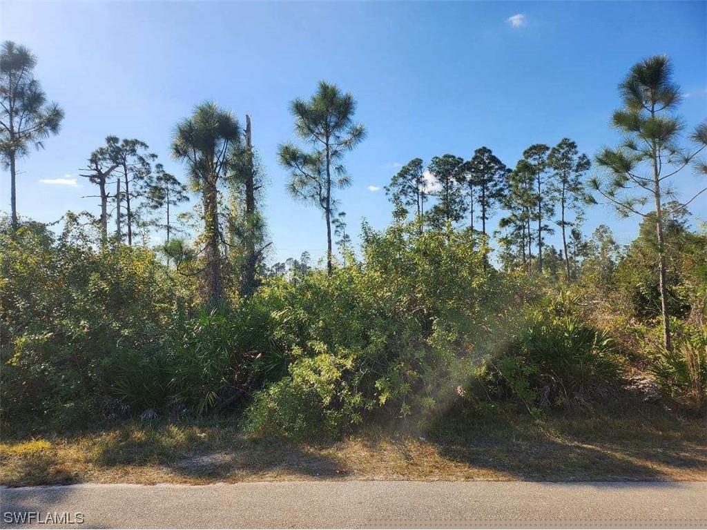 1059 Fayette Avenue Lehigh Acres FL 33974 224012600 image4