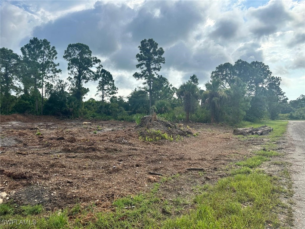 1063 Binkley Street E Lehigh Acres FL 33974 224065333 image3