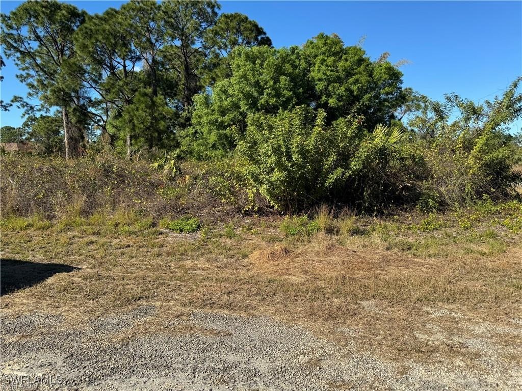 1069 Barrs Street E Lehigh Acres FL 33974 225036440 image2