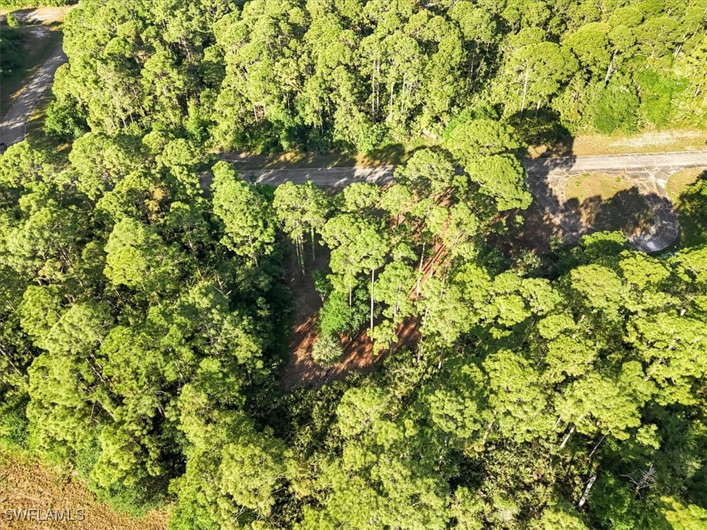 107 Rosemont Place Labelle FL 33935 225031459 image11