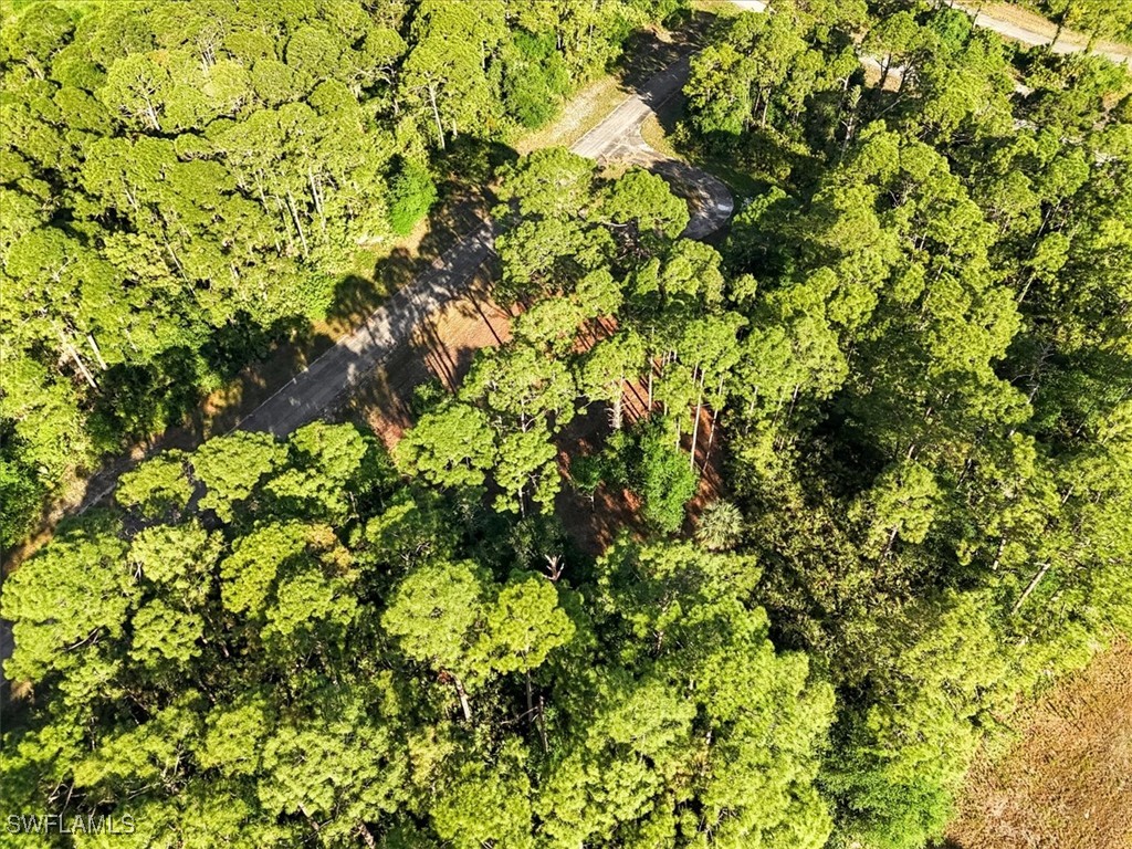 107 Rosemont Place Labelle FL 33935 225031459 image12