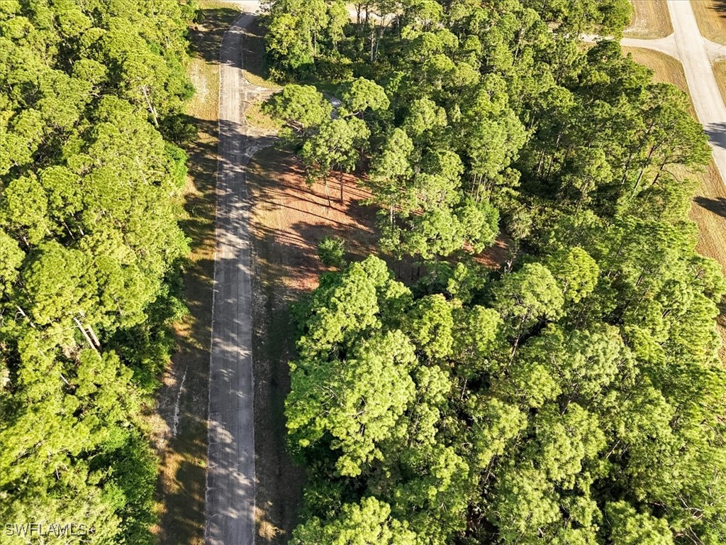 107 Rosemont Place Labelle FL 33935 225031459 image14