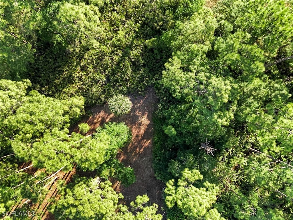 107 Rosemont Place Labelle FL 33935 225031459 image16