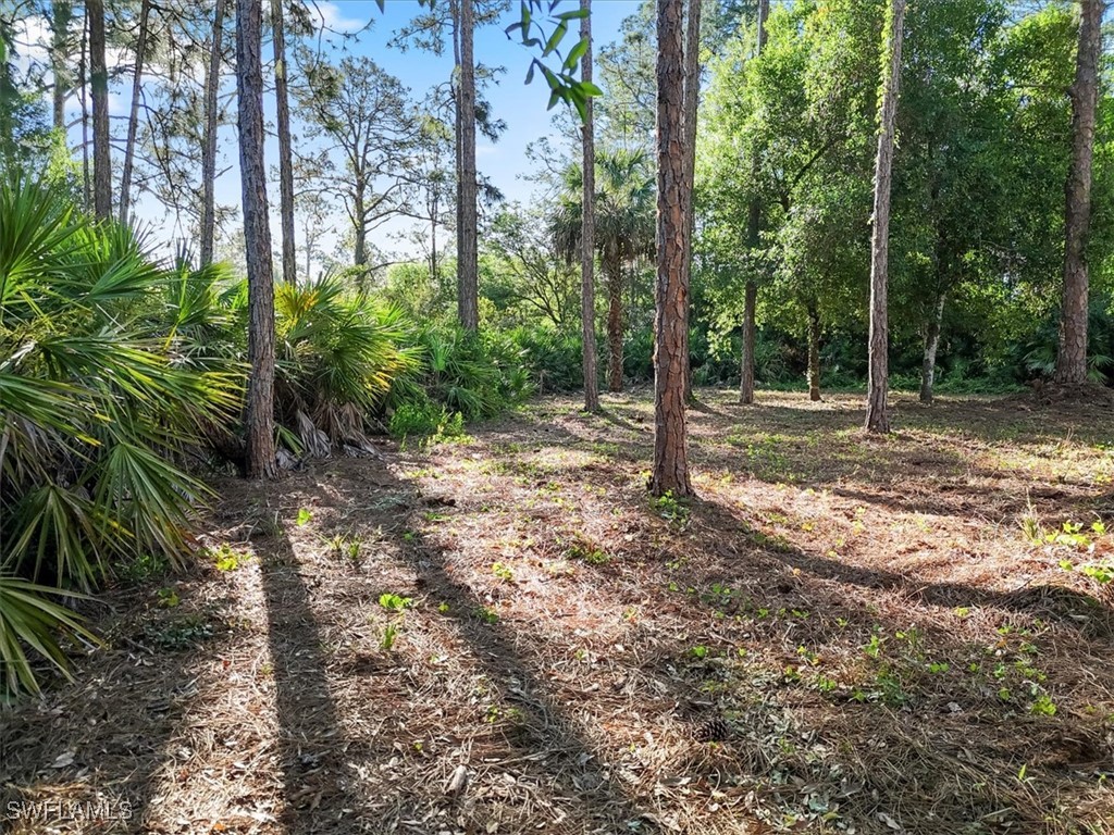 107 Rosemont Place Labelle FL 33935 225031459 image21