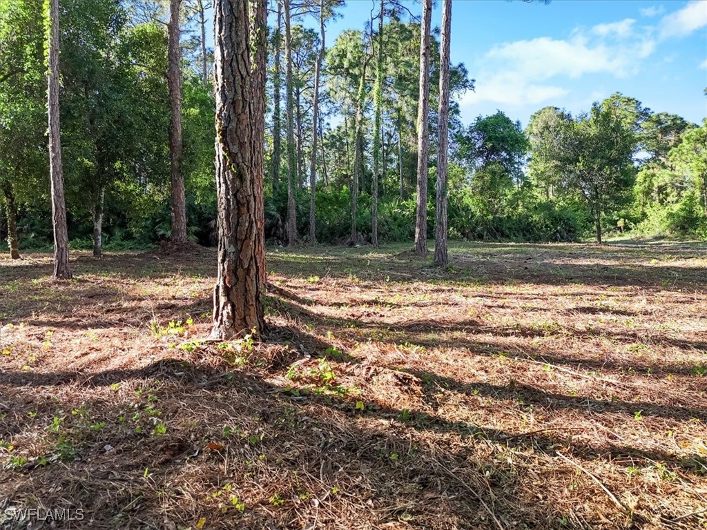 107 Rosemont Place Labelle FL 33935 225031459 image22