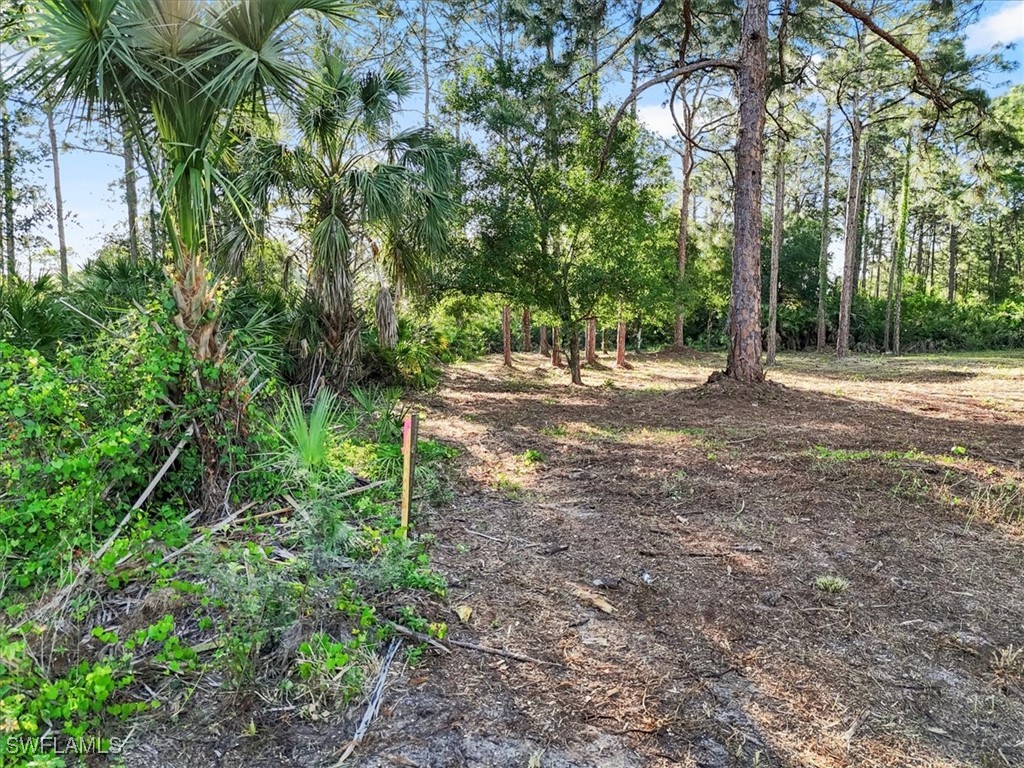 107 Rosemont Place Labelle FL 33935 225031459 image23