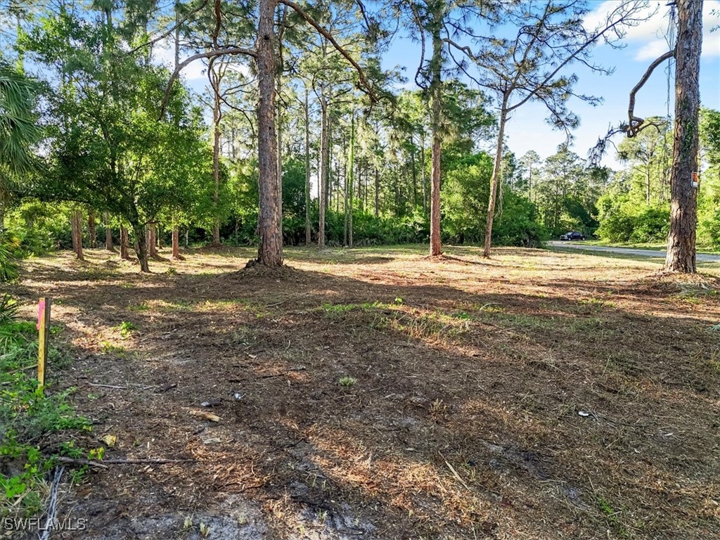 107 Rosemont Place Labelle FL 33935 225031459 image24