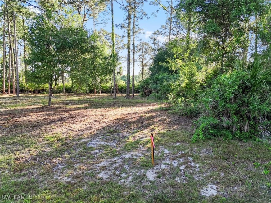 107 Rosemont Place Labelle FL 33935 225031459 image25